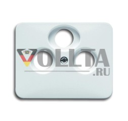 Центральная пластина Busch-Jaeger 1743-03-24G, как крышка для стандартных антенных гнезд, студийно-белый глянцевый