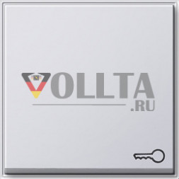 Gira 028766 TX44 выключатель/кнопка, клавиша крышка, c символом  дверь цвет:чисто белый